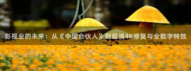校园理论电影