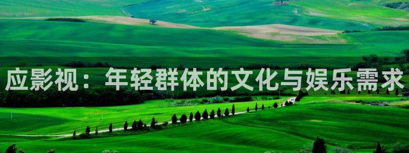 电影网 理论：应影视：年轻群体的文化与娱乐需求