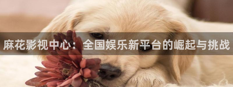 日韩三客优理论电影：麻花影视中心：全国娱乐新平台的崛起与挑战