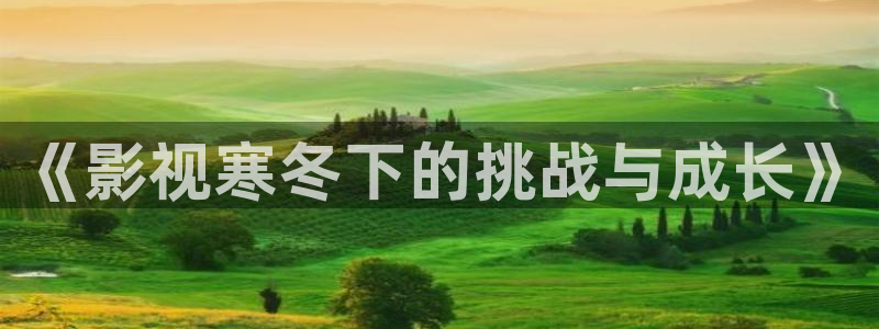 日韩最新理论电影：《影视寒冬下的挑战与成长》