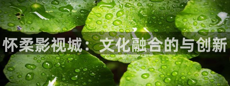 2024理论电影