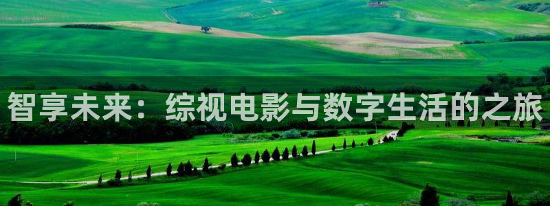 2018年韩国理论电影