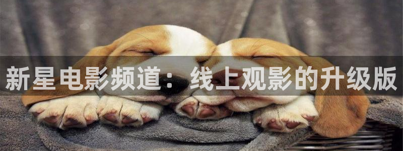 神马影视理论