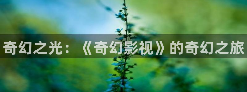 免费理论电影